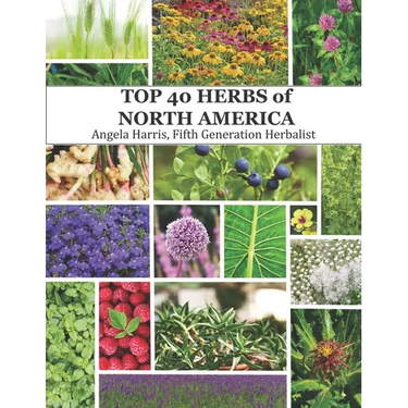The Top 40 Herbs of North America: Natural remedies from Mexico, the United States, and Canada.