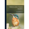 Birds and Their Babies