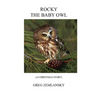 Rocky the Baby Owl