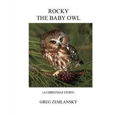 Rocky the Baby Owl