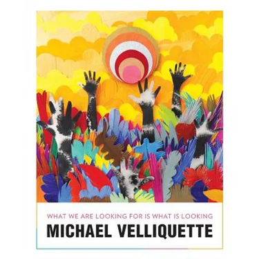 Michael Velliquette: What We Are Looking For is What is Looking