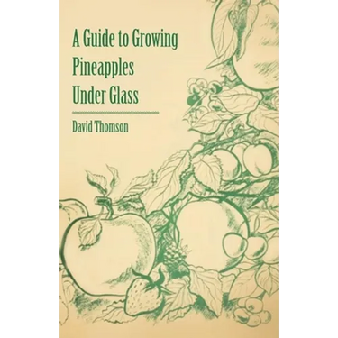 A Guide to Growing Pineapples Under Glass