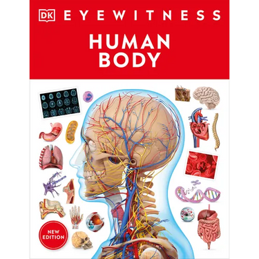 Eyewitness Human Body