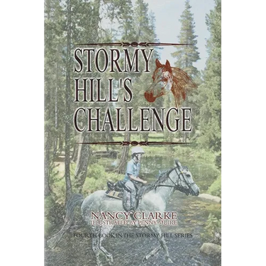 Stormy Hill's Challenge: Fourth Book in the Stormy Hill Series