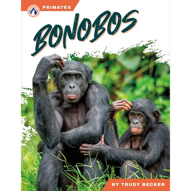 Bonobos