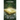 The Seer