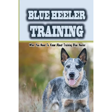 Blue Heeler Training: What You Need To Know About Training Blue Heeler: Blue Heeler Training Commands