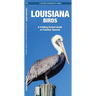 Louisiana Birds: A Folding Pocket Guide to Familiar Species