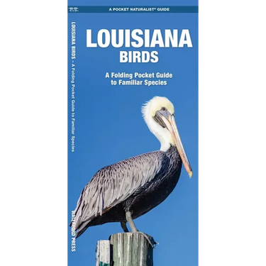 Louisiana Birds: A Folding Pocket Guide to Familiar Species
