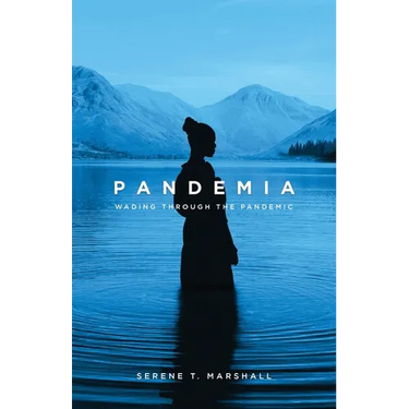 Pandemia: Wading Through The Pandemic