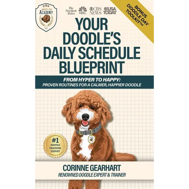 Your Doodle's Daily Schedule Blueprint: From Hyper to Happy: Proven Routines For a Calmer, Happier Doodle
