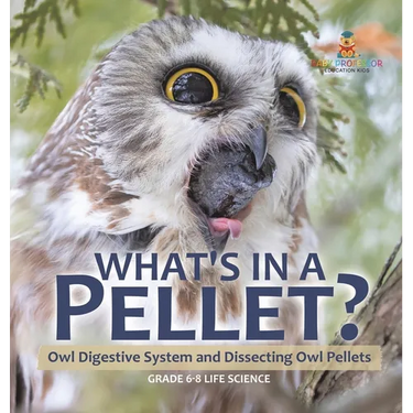 What's in a Pellet? Owl Digestive System and Dissecting Owl Pellets Grade 6-8 Life Science