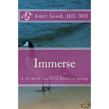 Immerse: A 52-Week Course in Resilient Living: A Commitment to Live With Intentionality, Deeper Presence, Contentment, and Kindness.