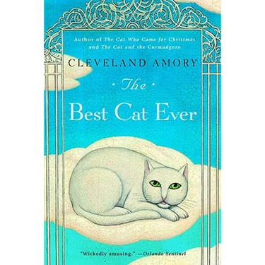The Best Cat Ever
