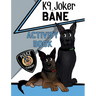 K9 Joker and Bane Activity Book