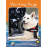 Working Dogs: Fluency Boost