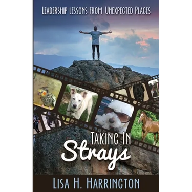 Taking In Strays: Leadership Lessons From Unexpected Places