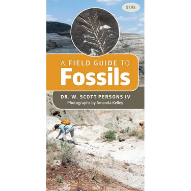 A Field Guide to Fossils