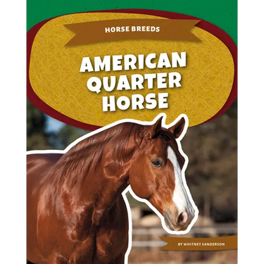 American Quarter Horse
