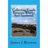Collecting Fossils Between Whitby And Sandsend.: A Beginner's Guide.