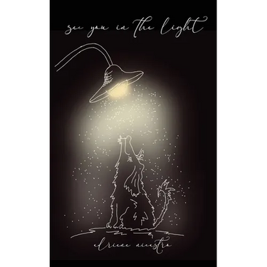 see you in the light