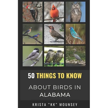 50 Things to Know About Birds in Alabama: Birding in the Heart of Dixie
