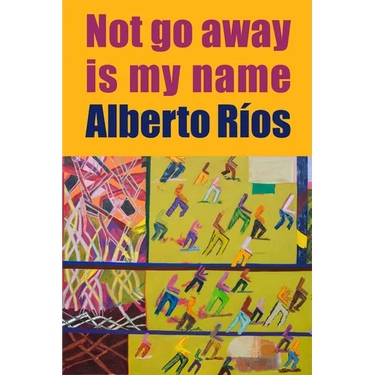 Not Go Away Is My Name