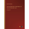 The Pony Rider Boys in New Mexico; Or, The End of the Silver Trail: in large print