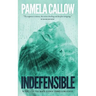 Indefensible: Book 2 of the Kate Lange Thriller Series