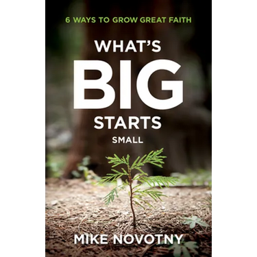 What's Big Starts Small