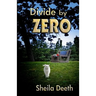 Divide by Zero