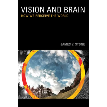 Vision: How We Perceive the World