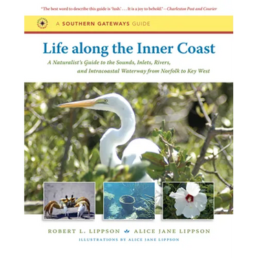 Life Along the Inner Coast: A Naturalist's Guide to the Sounds, Inlets, Rivers, and Intracoastal Waterway from Norfolk to Key West