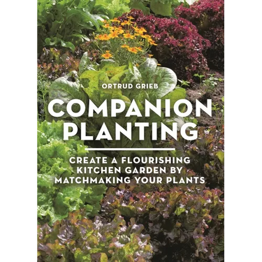 Companion Planting: Create a Flourishing Kitchen Garden by Matchmaking Your Plants