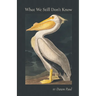 What We Still Don't Know