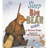 Sleep, Big Bear, Sleep!