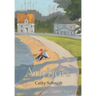 Anchors