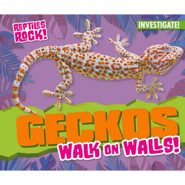 Geckos Walk on Walls!