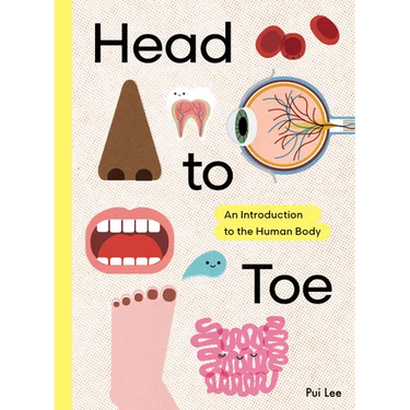Head to Toe: An Introduction to the Human Body