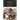 In Search of Greater Syria: The History and Politics of the Syrian Social Nationalist Party