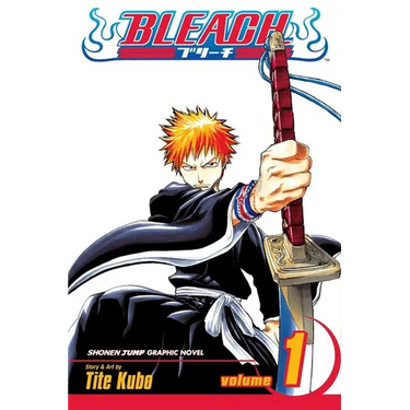 Bleach, Vol. 1: Strawberry and the Soul Reapers