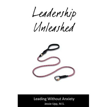 Leadership Unleashed