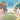 My Friend ADHD