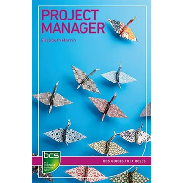 Project Manager: Careers in IT project management