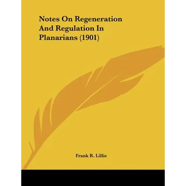 Notes On Regeneration And Regulation In Planarians (1901)