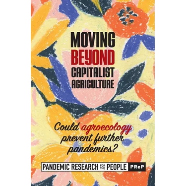 Moving Beyond Capitalist Agriculture: Could Agriculture Prevent Further Pandemics?