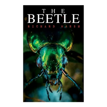 The Beetle: A Supernatural Thriller Novel
