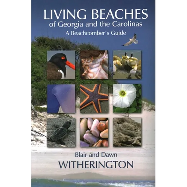 Living Beaches of Georgia and the Carolinas: A Beachcomber's Guide