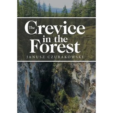 The Crevice in the Forest