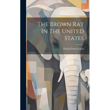 The Brown Rat In The United States